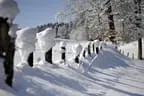 Winter12